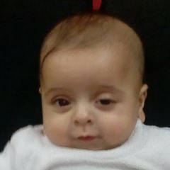 Abo Mohamed