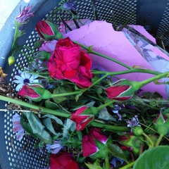 lavirgendelatrinidad