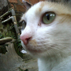 nurul hasanah