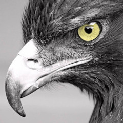 Aey Lewaniya Saqe Takkar Vol 109 Lewanai Ghani