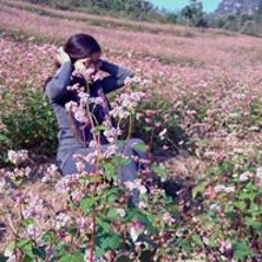 Huyền Trần xinh đẹp