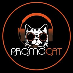 Promo Cat