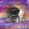 Steven Hunt Hunt