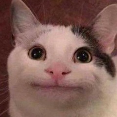 Mr_SmileCat