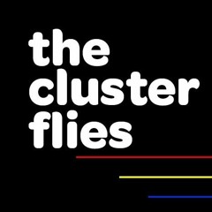The Cluster Flies
