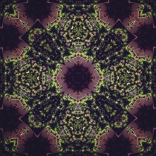 Insomnia