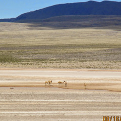 You Are The One - A - Ha3