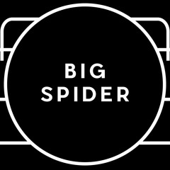BiG SPiDER