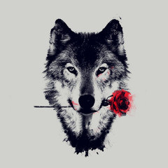 The Wolf of Roses