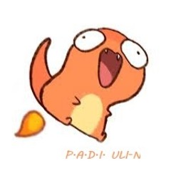 P.A.D.I ULI-N