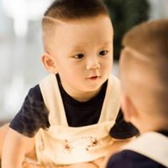 Hồng Vinh
