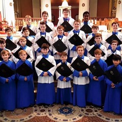The Palestrina Choir, Dublin