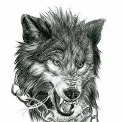 FangAlphaWolf