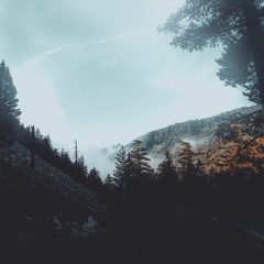 3:16