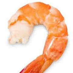 Votelesshrimp8