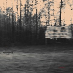 the Last Word