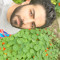 Hadi alimardani