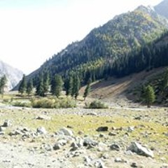 Hassaan