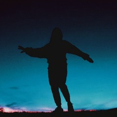 Leo Waves