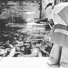 Fachrul Faisal Nugraha