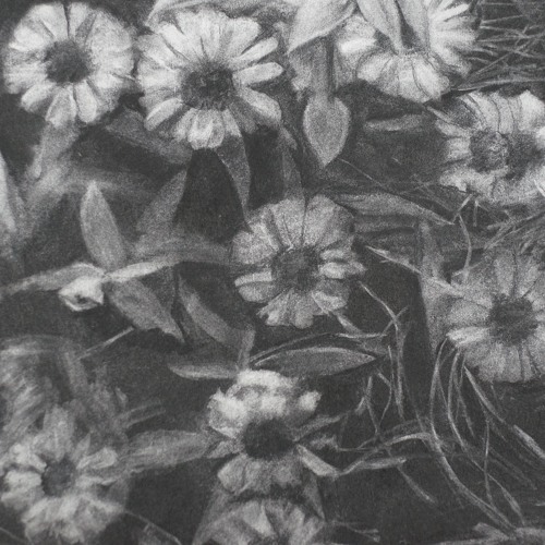 Stream 真昼の月 by SleepInside | Listen online for free on