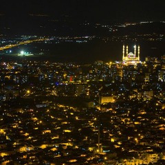 Newyorksfirstyoungartist