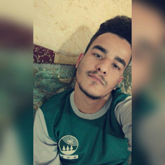 Hassan Altaee