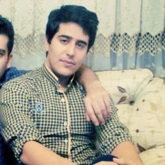 Amir Nik