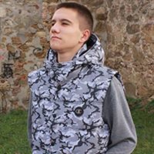Mihajlo Stefanović’s avatar