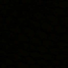 Micrx Dxt