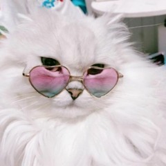kat