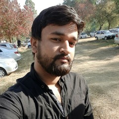 Raja Ali