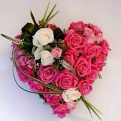 Elham Mohammed