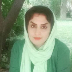 bahare mohebi