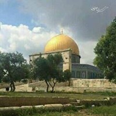 أحمد خضر درويش