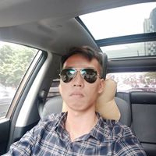 Phan Anh — artist photo
