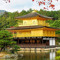 gunma n