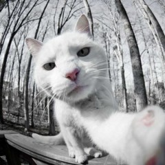 colin s f zatcoff1982