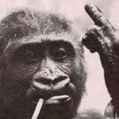 Александр Каширин