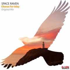 Space Raven Official