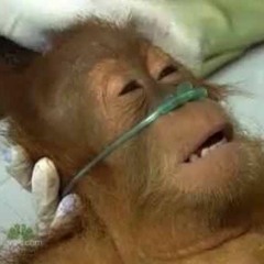 Unge herr hostmedicin