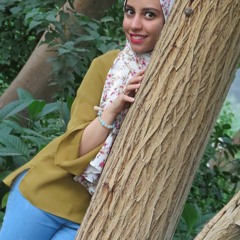 Alaa Nasser