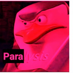 no