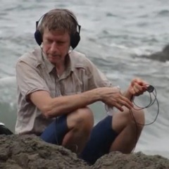 Kevin Curtis-Norcross