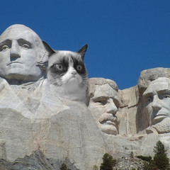 Marcie Dinaro McGuinn