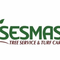 Why Tree Removal Should Be Left to Experts?