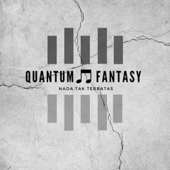 Quantum Fantasy