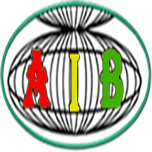 AIB Burkina’s avatar