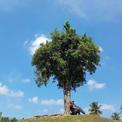 rijal