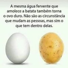 Melo Napoleão Napoleão